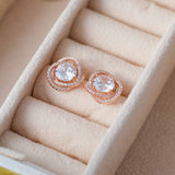 Dreamstone Whispers - Zircon 14K Rose Gold Plated 925 Silver  Earrings