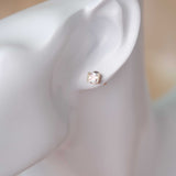 Petite Étincelle - Zircon 14K Rose Gold Plated 925 Silver Earrings