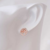 Éclat Éternel - Zircon 14K Rose Gold Plated 925 Silver Earrings